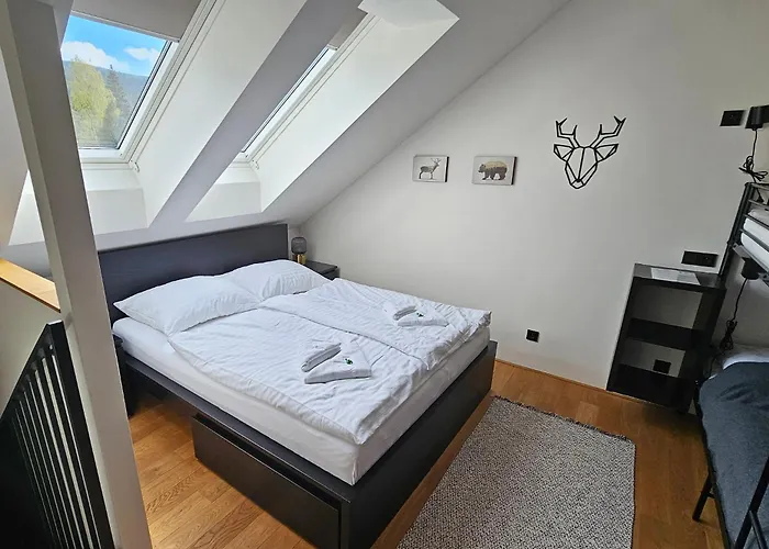 Enjoyharrachov - Atraktivni Klidny Klimatizovany Apartman 20 V Centru Harrachova S Parkovanim, Wifi-Wlan, Sat, Herni Konzoli, Ipad, Netflix Zdarma, Moznosti Dobijeni Auta, Vyhledem Do Zahrady A Na Romanticky Kostelik