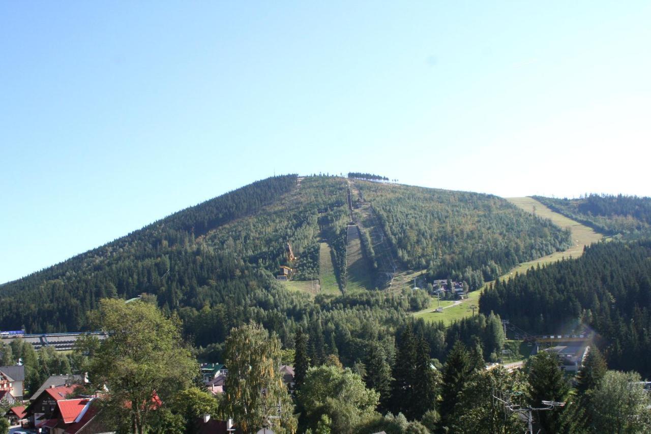 Enjoyharrachov: With Garden View And Entertainment Apartment *