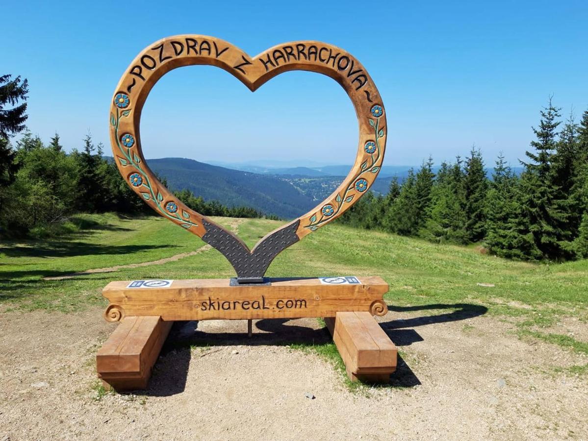 Enjoyharrachov: With Garden View And Entertainment Apartment *