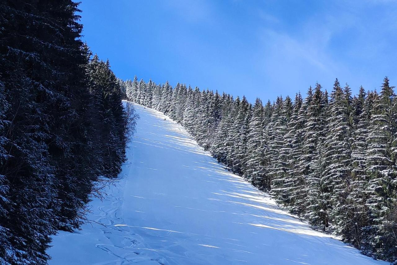 Enjoyharrachov - Atraktivni Klidny Klimatizovany 20 V Centru Harrachova S Parkovanim, Wifi-wlan, Sat, Herni Konzoli, Ipad, Netflix Zdarma, Moznosti Dobijeni Auta, Vyhledem Do Zahrady A Na Romanticky Kostelik Apartment