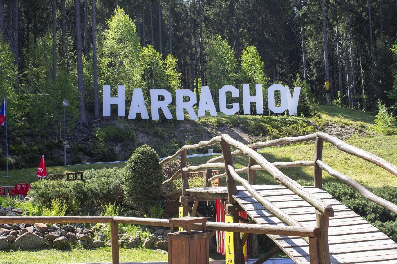 Enjoyharrachov - Atraktivni Klidny Klimatizovany 20 V Centru Harrachova S Parkovanim, Wifi-wlan, Sat, Herni Konzoli, Ipad, Netflix Zdarma, Moznosti Dobijeni Auta, Vyhledem Do Zahrady A Na Romanticky Kostelik Apartment *